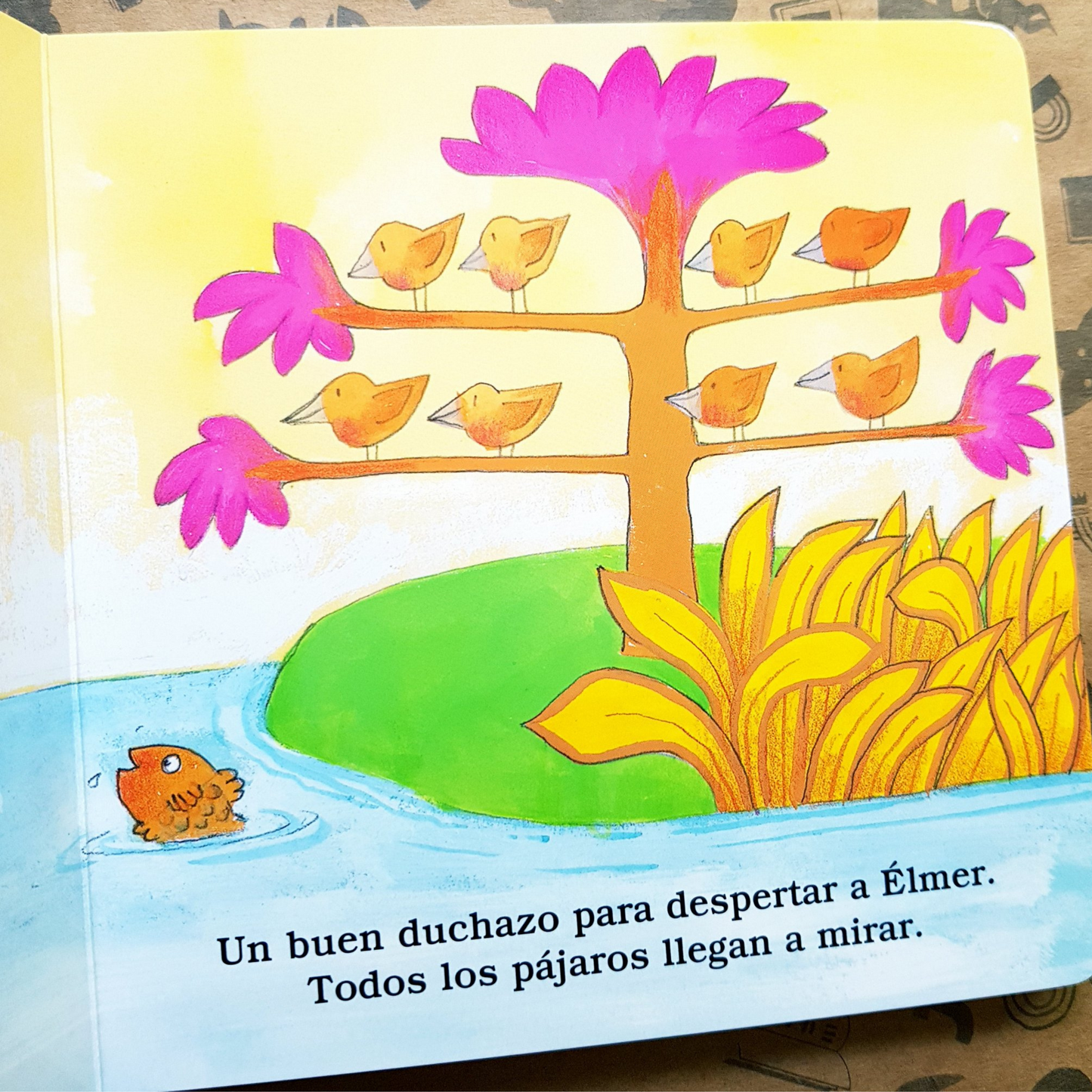 Libro Un día con Elmer