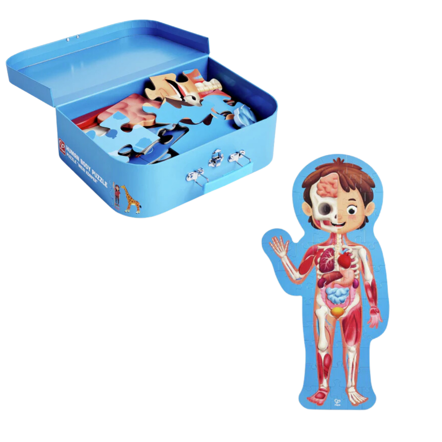 🌋🧬 Pack Volcán y Anatomía en Acción