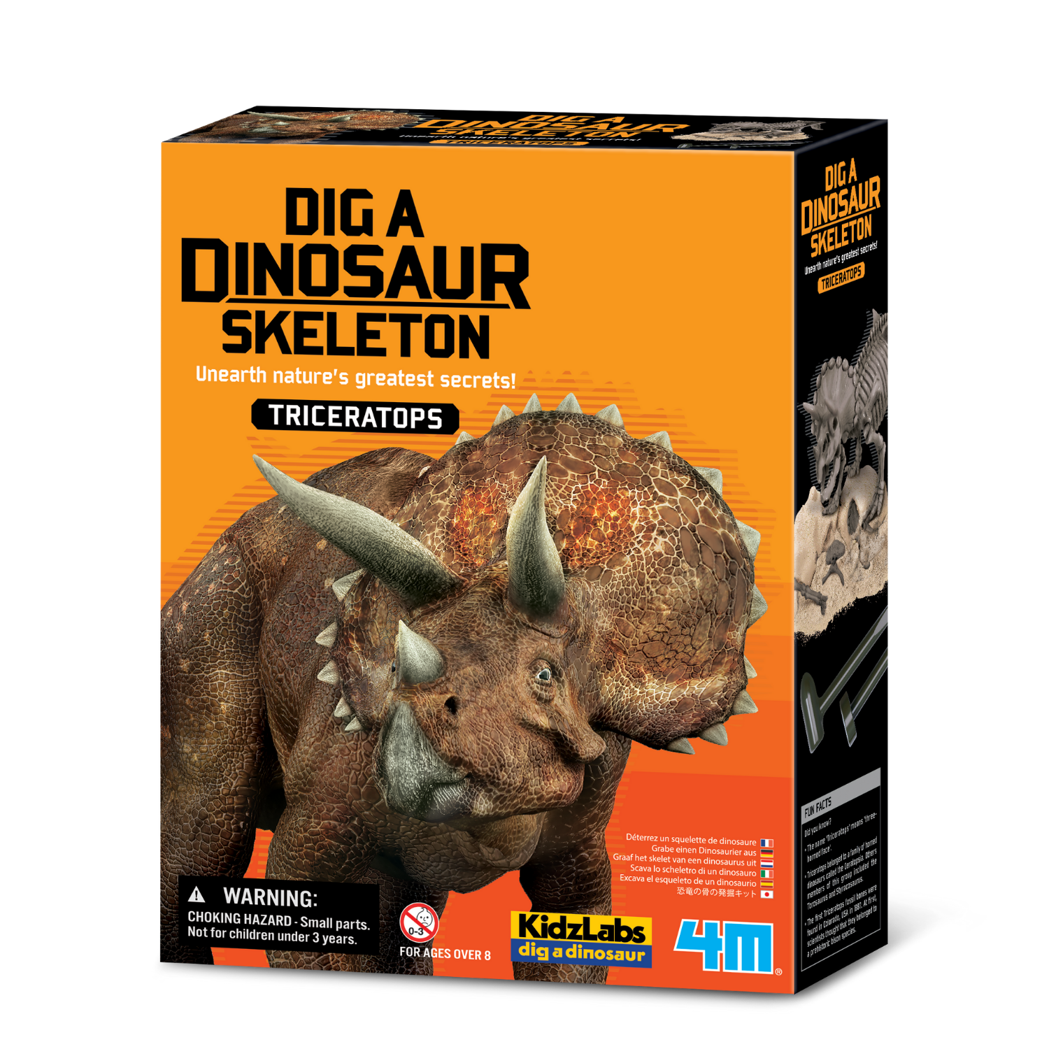 Excava y arma un esqueleto de triceratops