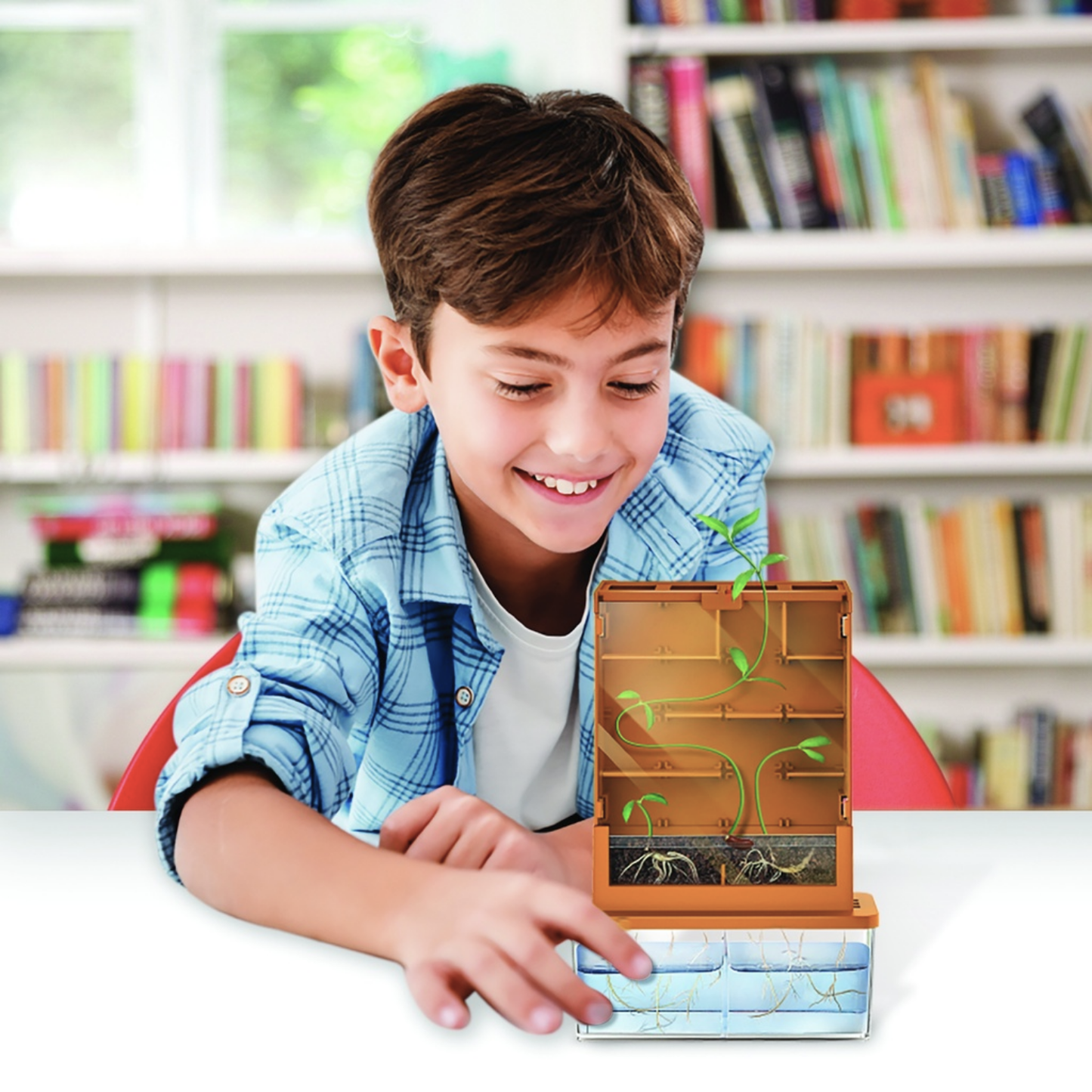 Set de ciencia crea laberinto de crecimiento para plantas