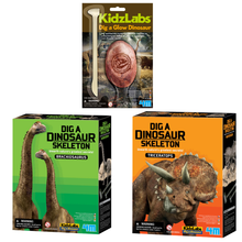 Pack excava y descubre dinosaurios