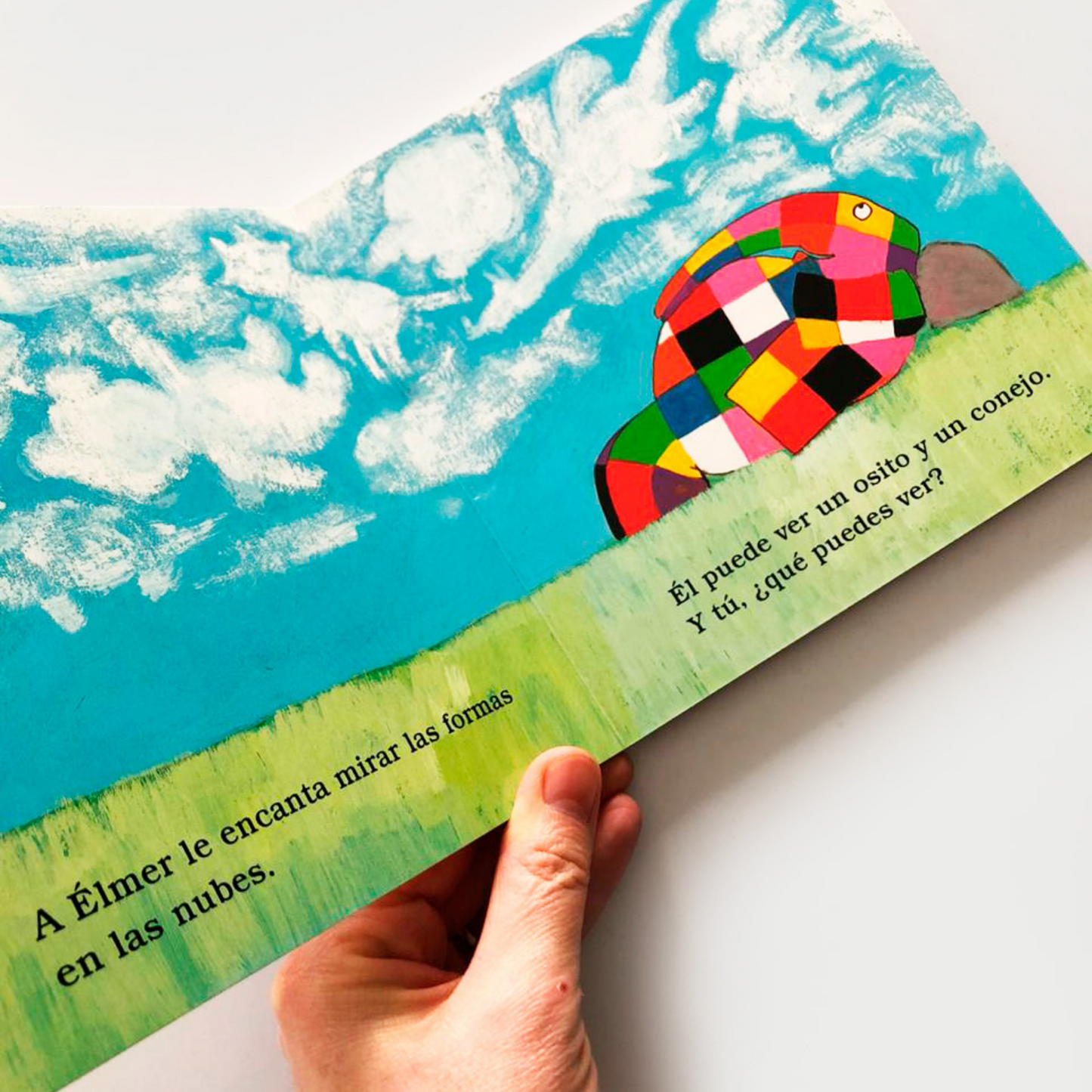 Libro Elmer y el clima