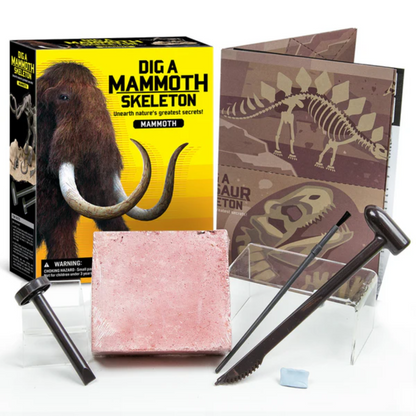 🧪 Pack Científico