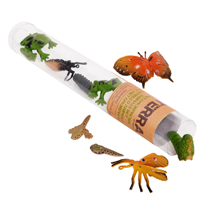 Set de 10 mini animales de metamorfosis en tubo