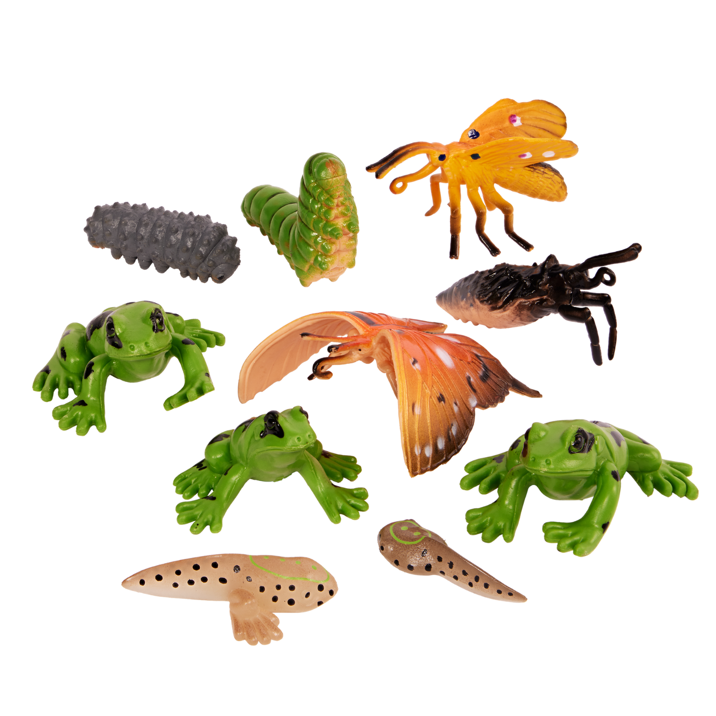 Set de 10 mini animales de metamorfosis en tubo