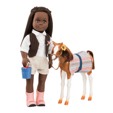 Caballo pinto paso fino foal