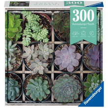Rompecabezas moment 300 pz plantas