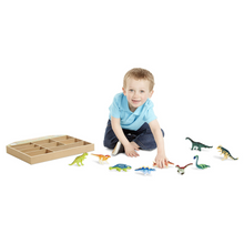 Set colección 9 dinosaurios