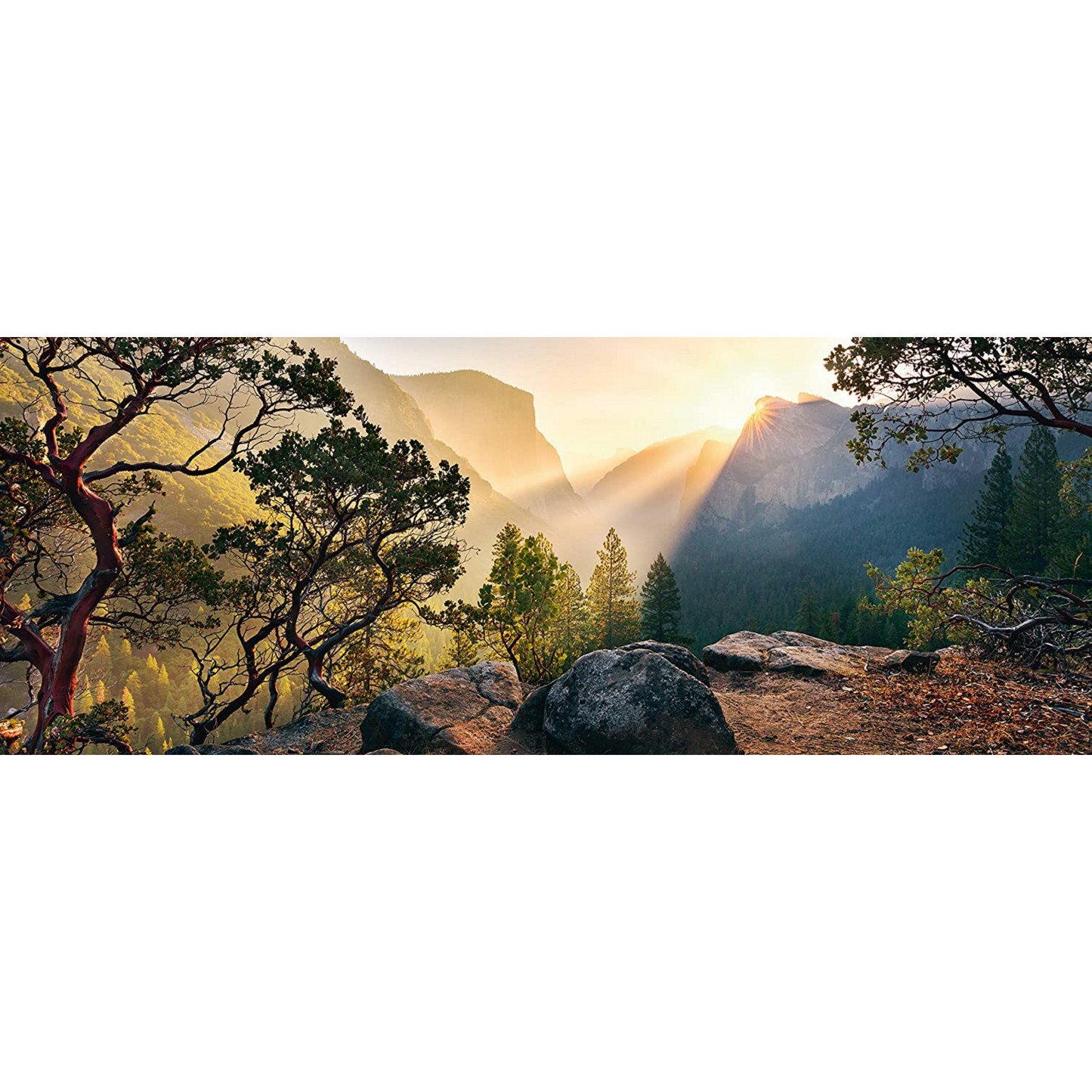 Rompecabezas 1000 pz panorama parque de Yosemite