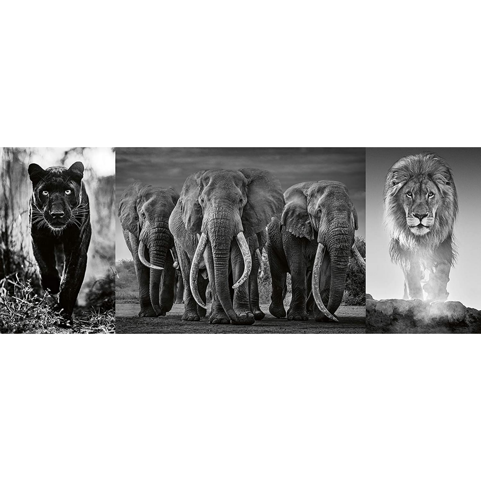 Rompecabezas 1000 pz pantera, elefante y león blanco y negro